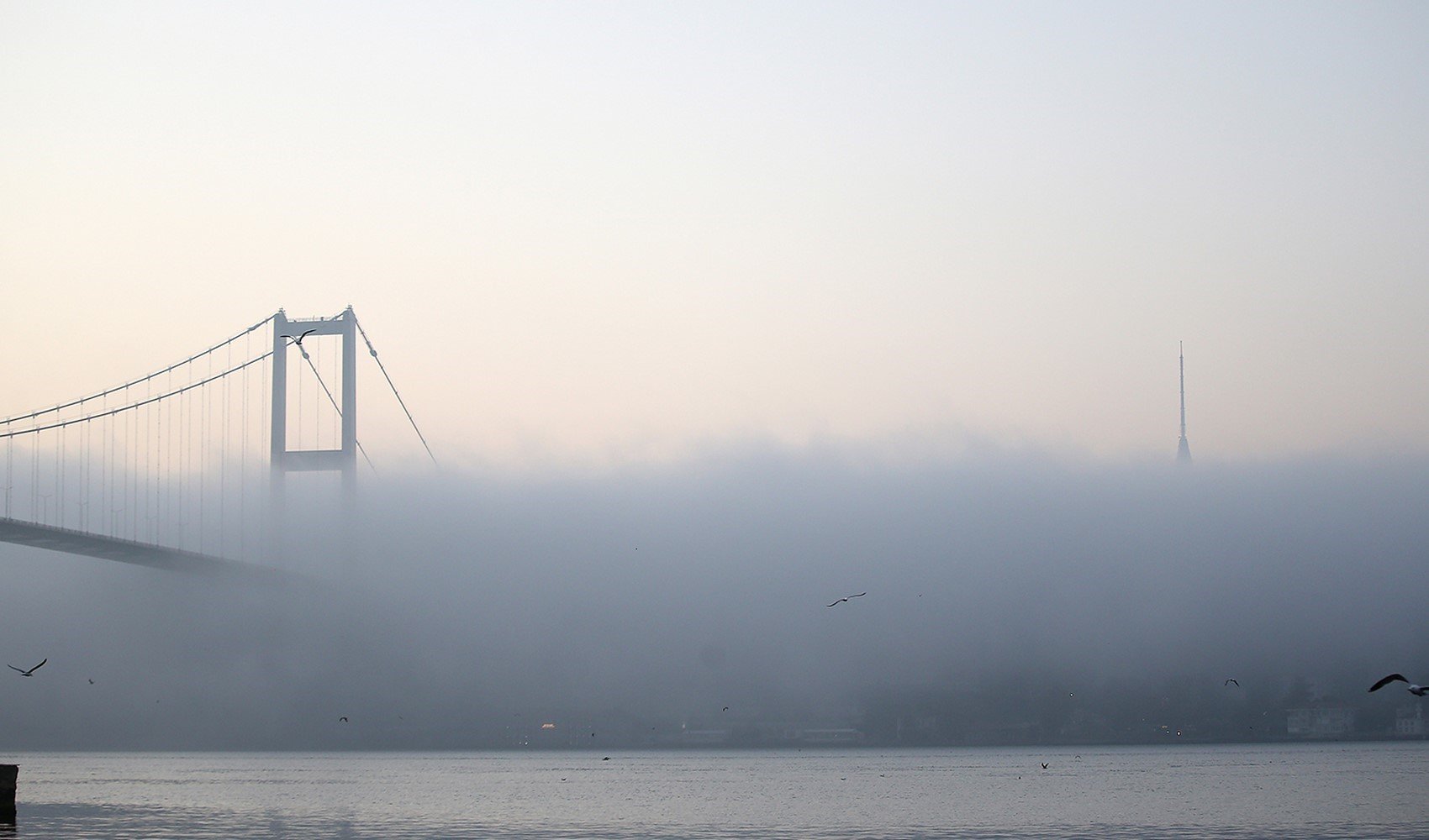 İstanbul Boğazı'nda yoğun sis: Vapur seferleri iptal edildi, gemi trafiği çift yönlü durduruldu
