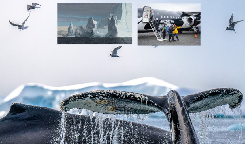 Türk turizmciden sıra dışı operasyon: Seyahat tutkunlarını uçakla Antarktika’ya indiriyor