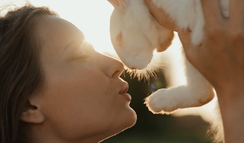 Bilim insanları Alice Harikalar Diyarında Sendromunun gizemini çözmeye bir adım daha yaklaştı!