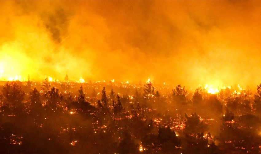 Şili'de devam eden orman yangınlarında yaşamını yitirenlerin sayısı 122'ye çıktı