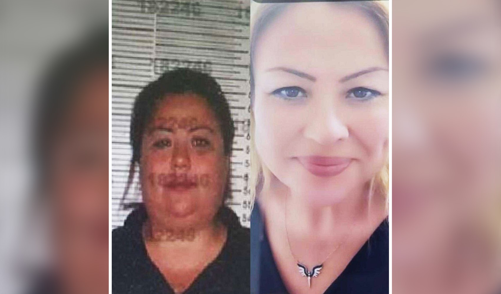 Aranan dolandırıcı estetikle kardeşine benzedi! 6 ilde 19 ayrı suçtan arama kaydı varmış...