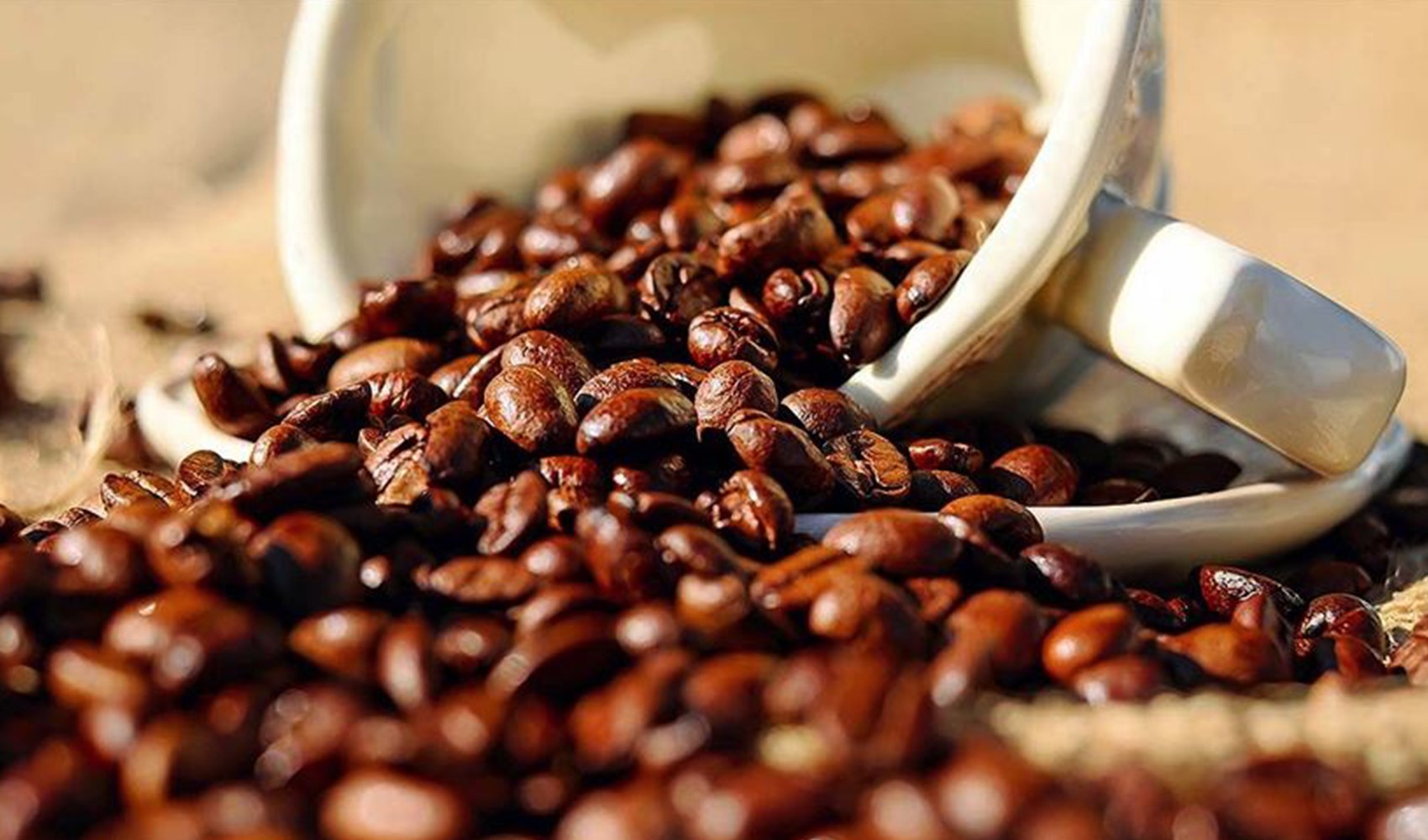 Türkiye'den ihraç edilen kahveler 146 ülkeye ulaşıyor
