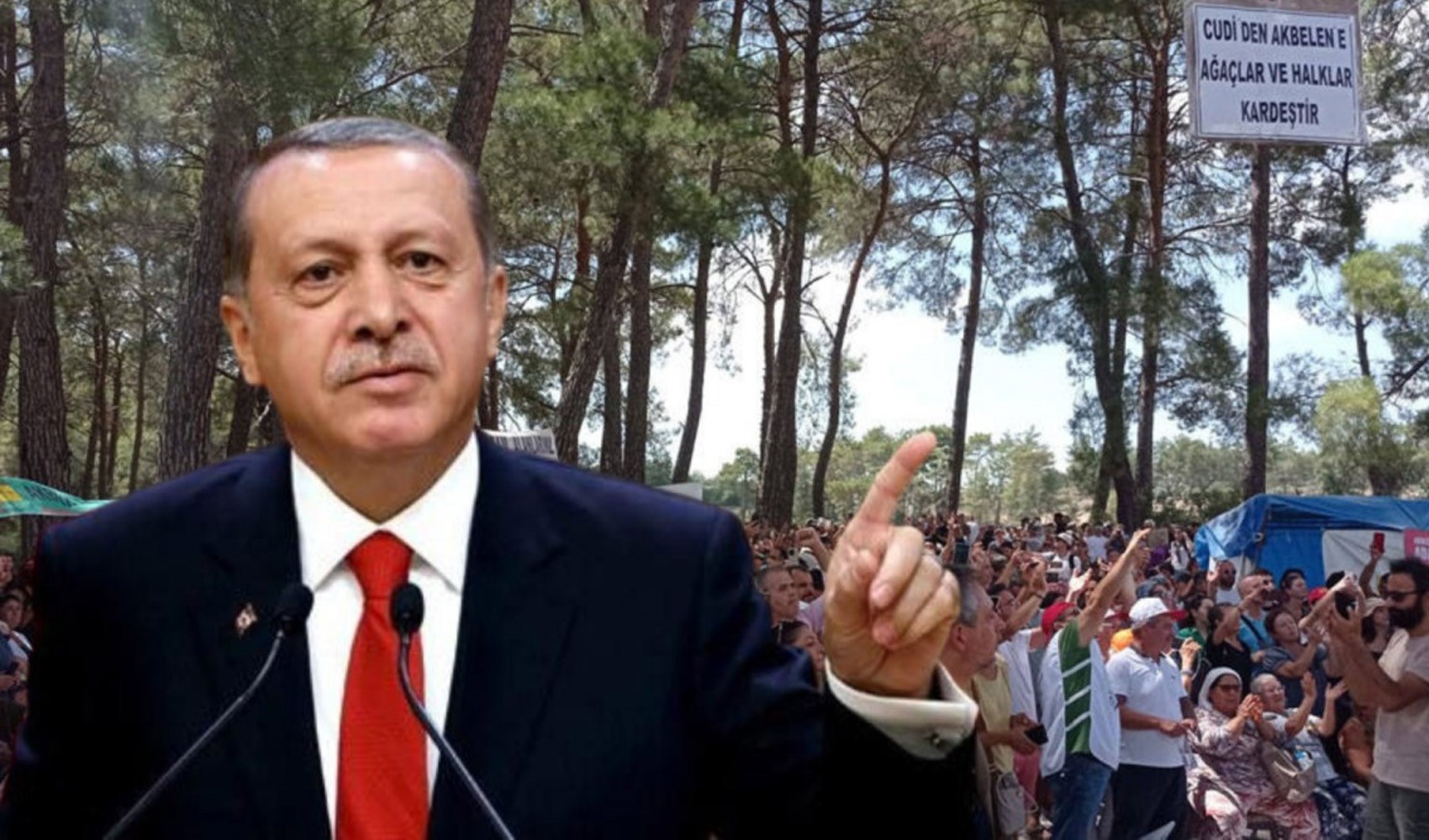 Erdoğan, Akbelen'deki arazileri kamulaştırma kararını iptal etti