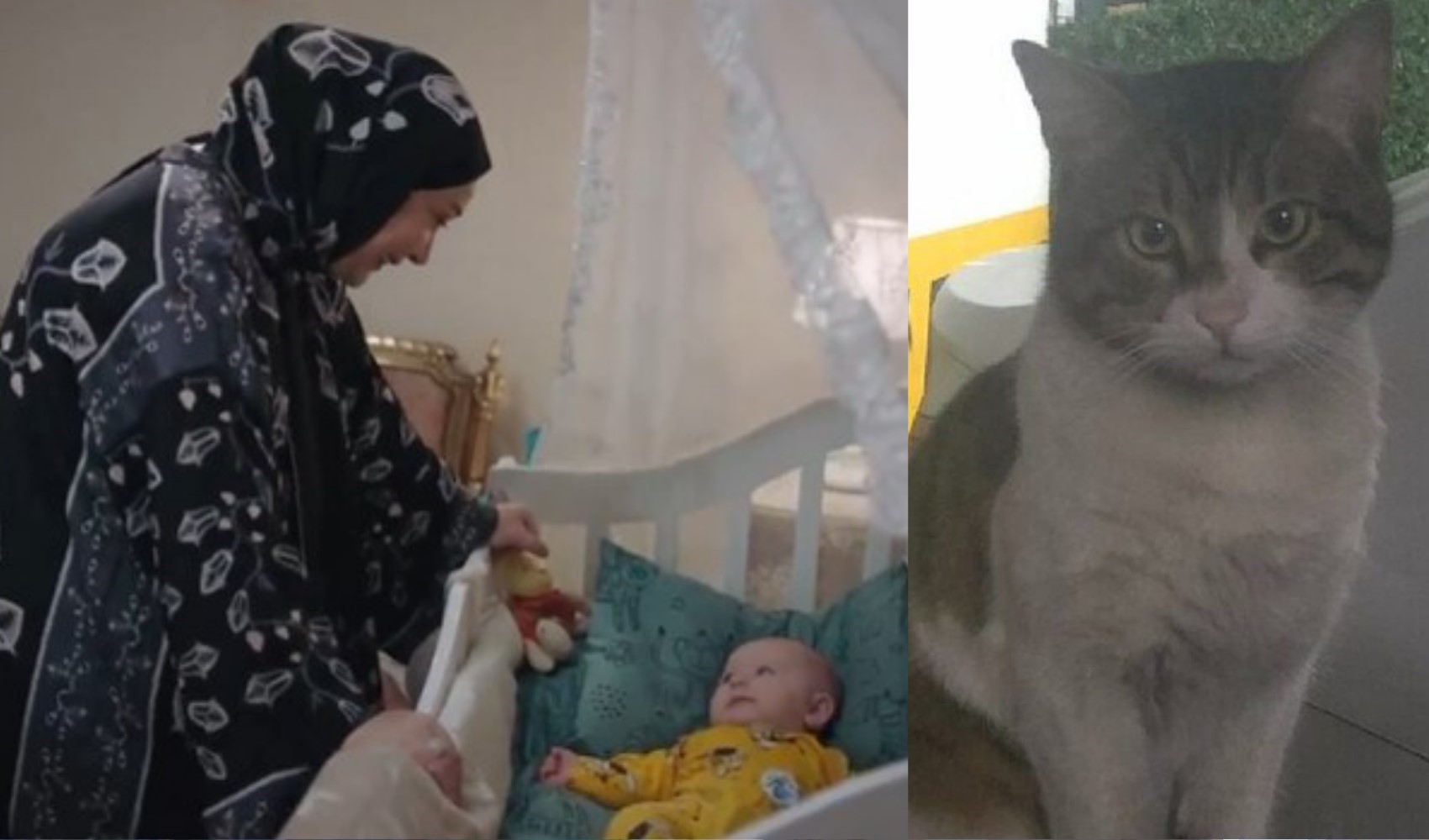 Kızılcık Şerbeti'nde 'Kedi Eros' göndermesi: 'Kimsesiz değil!'