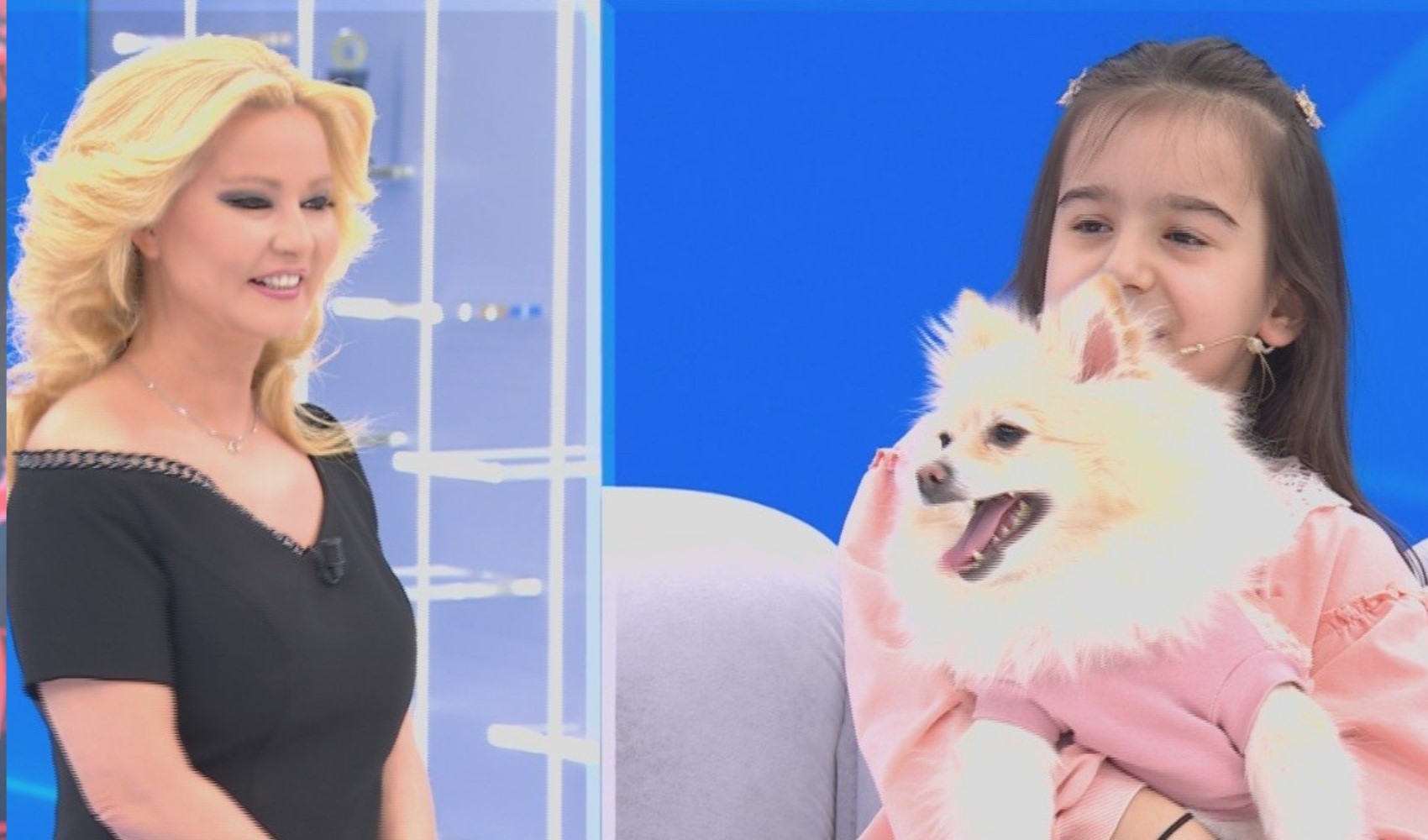 Kayıp köpek Müge Anlı’da bulundu