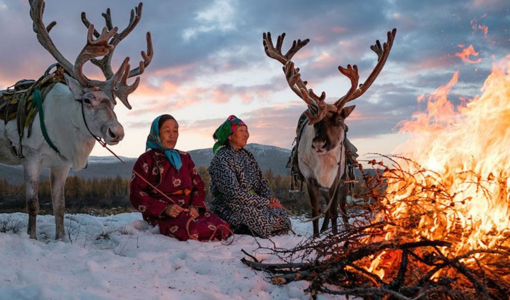 Son 50 yılın en çetin kışı yaşanıyor: Moğolistan'da milyonlarca hayvan öldü