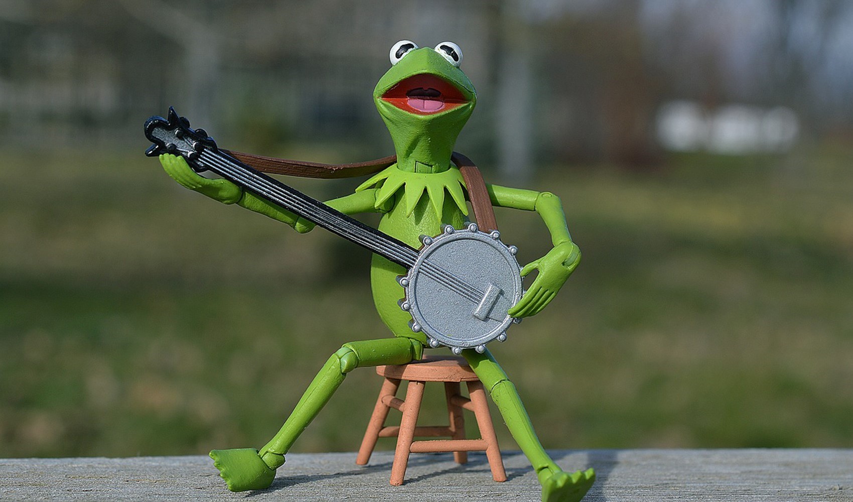 Kermit'e benzeyen 270 milyon yıllık kurbağa fosili keşfedildi!