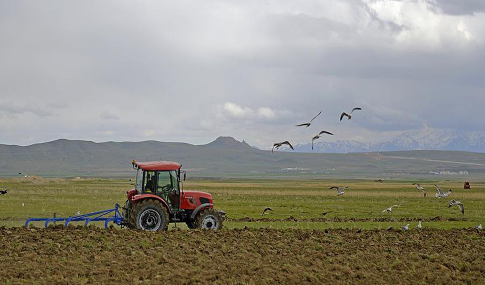 Pagamenti di sostegno agli agricoltori per circa 400 milioni di lire turche accreditati oggi