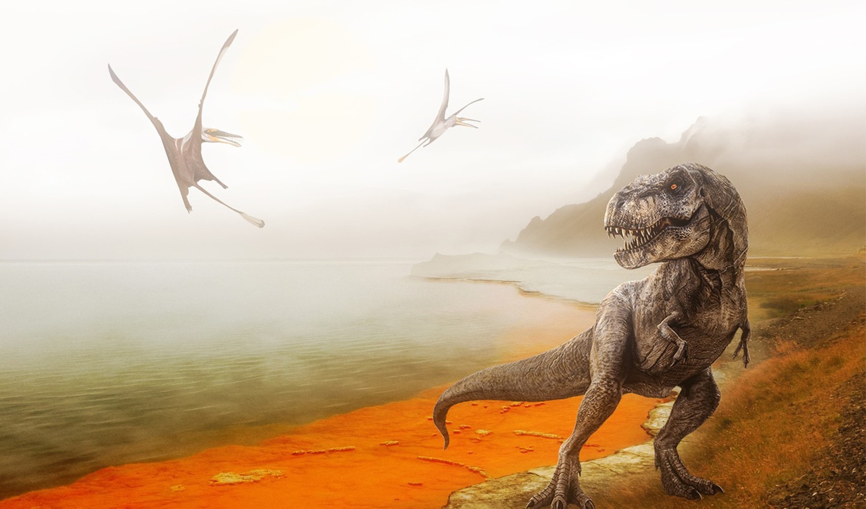 T-Rex sanıldığı kadar zeki değilmiş! Araştırmacılar, T-Rex'in timsah ve kertenkeleler gibi davrandığını keşfetti