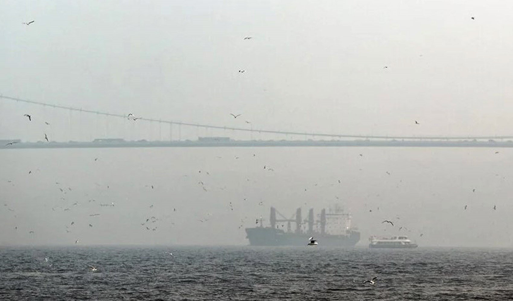 İstanbul Boğazı'nda sis nedeniyle gemi trafiği askıya alındı