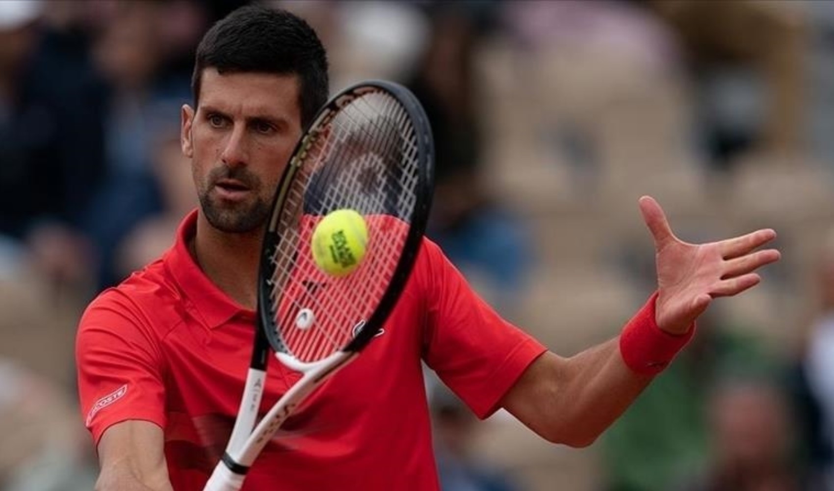 Djokovic'ten Roma'ya erken veda: Islıklandı!