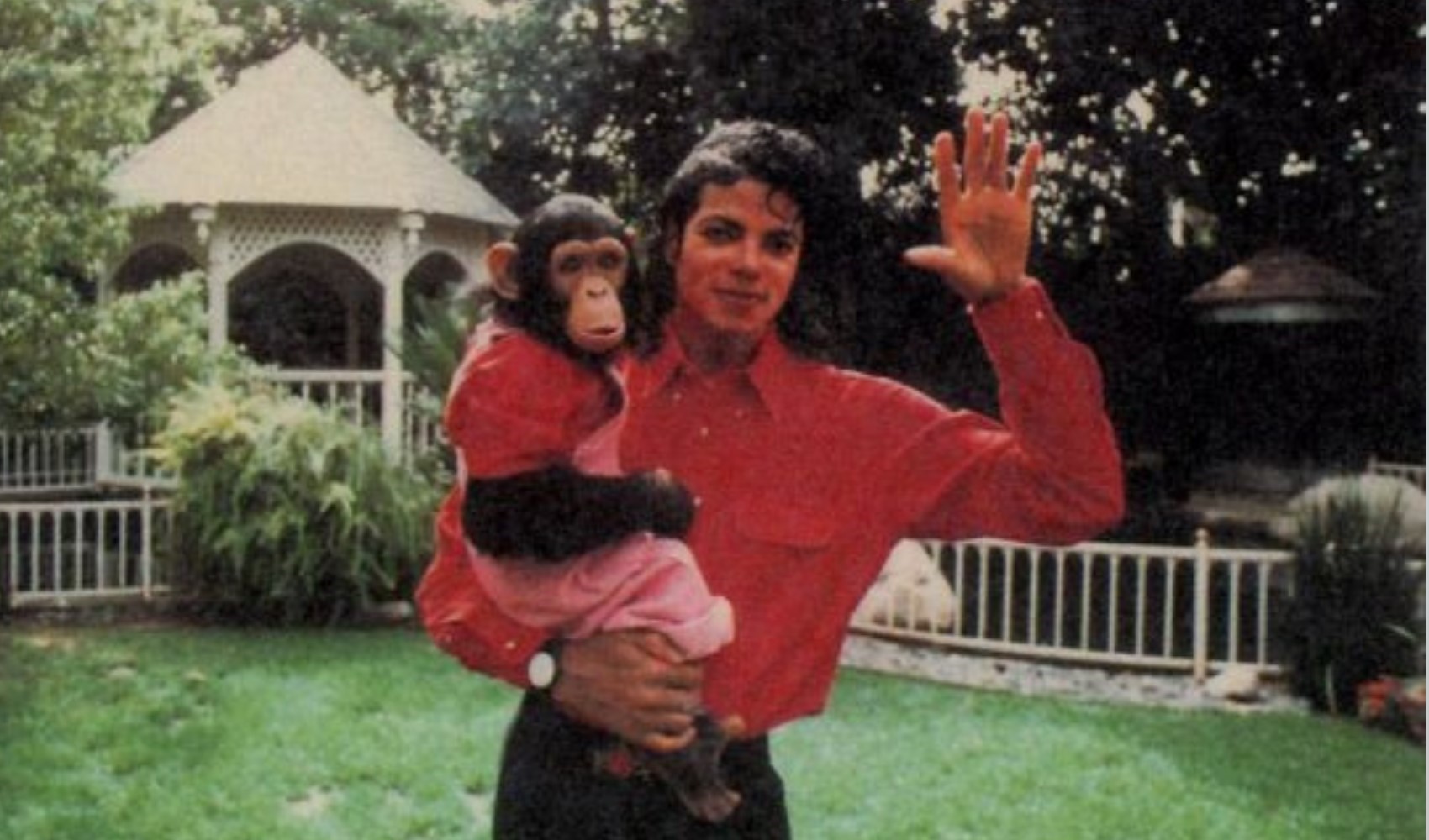 Michael Jackson'ın şempanzesi ortaya çıktı: Bakımı için yıllık 25 bin dolar harcanıyor