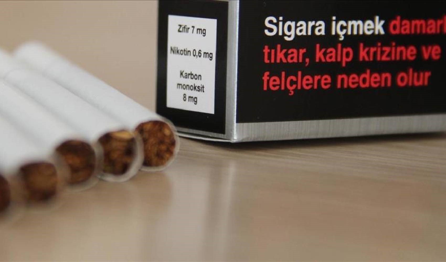 Korkutan sayı! Prof. Dr. Esra Yazar: 'Tütün, her yıl 8 milyon kişinin...'