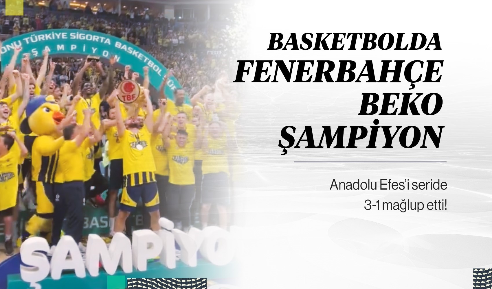 Fenerbahçe, Basketbol Süper Ligi'nde şampiyon oldu