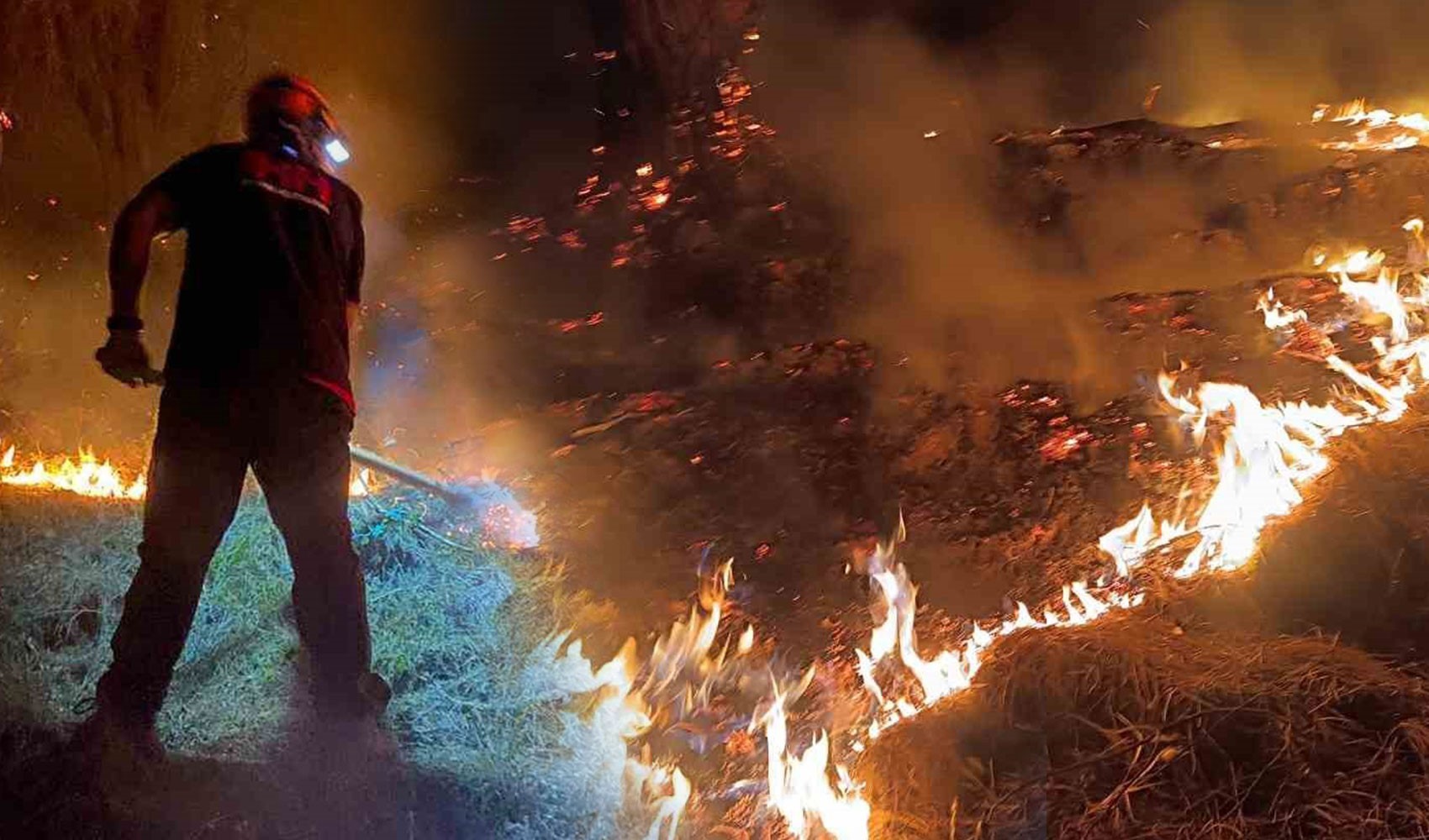 Son Dakika: Denizli'deki orman yangını kontrol altına alındı