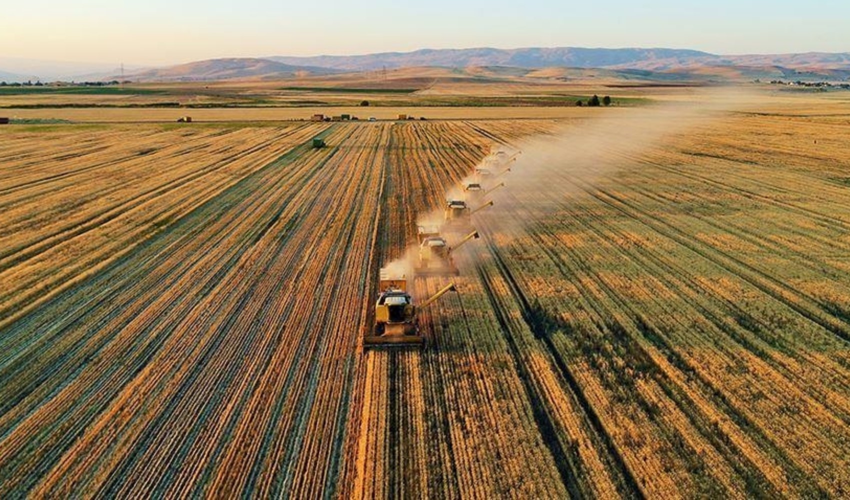 Türkiye'de korkutan tablo: Tarım arazileri yok oluyor