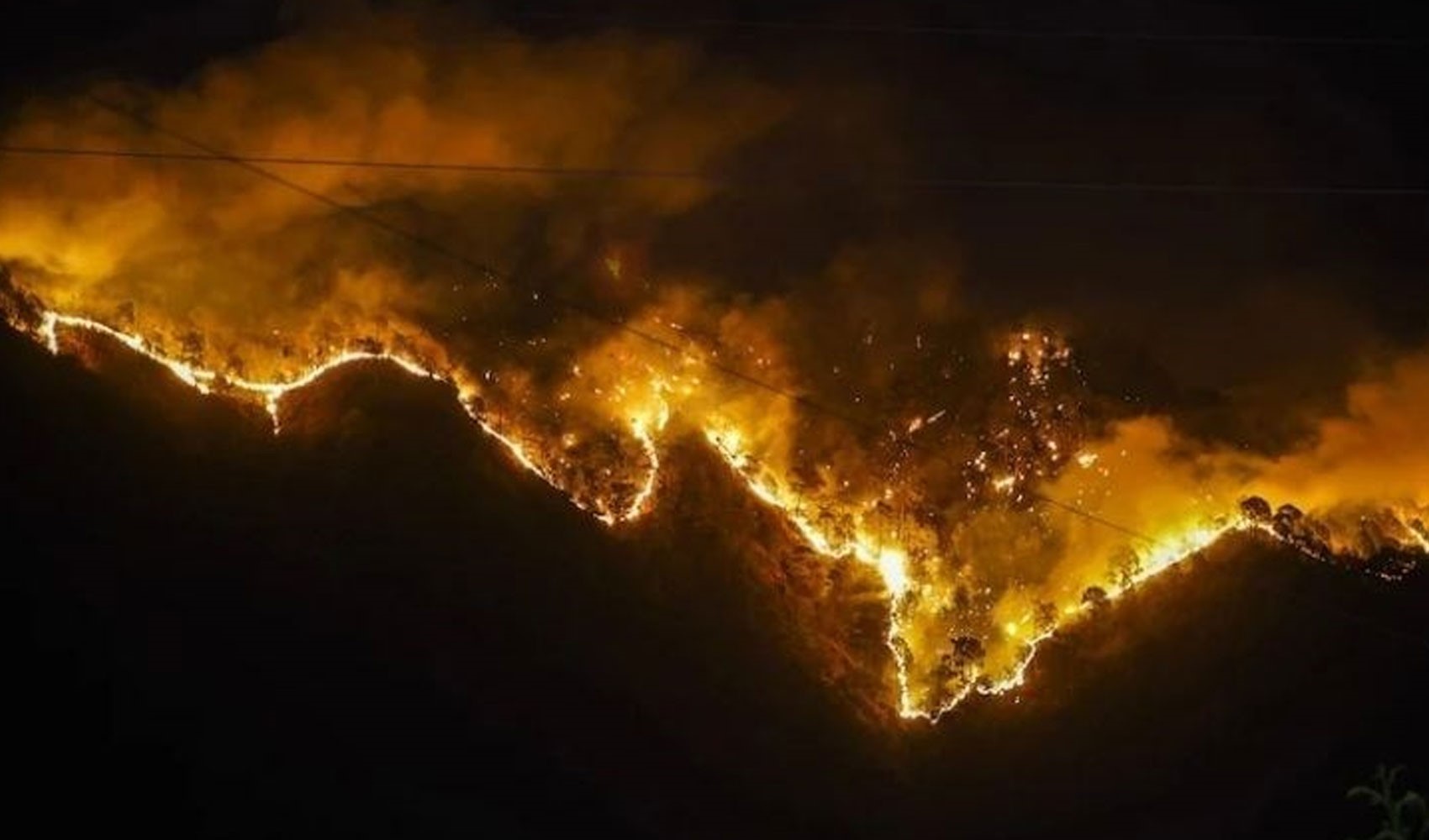 Los Angeles'ta orman yangınları: 1200 kişi tahliye edildi