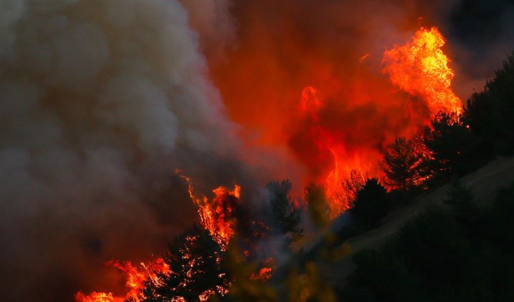 Orman yangını etkili oldu: 7 bin kişi tahliye edildi