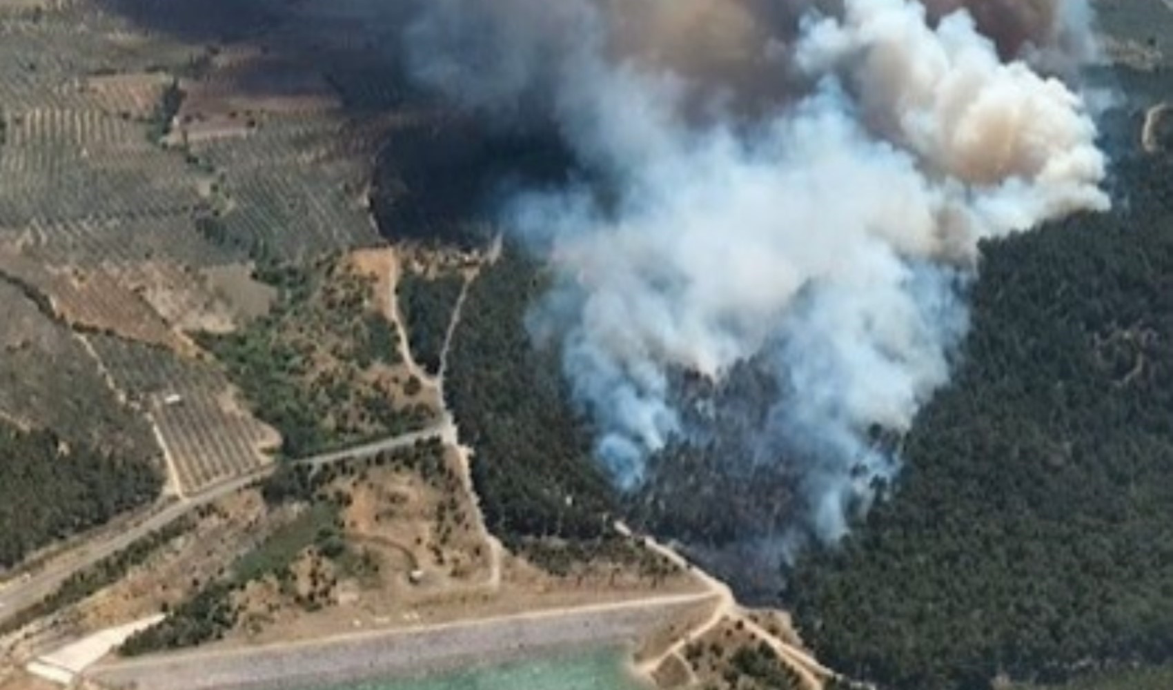 Soma’da orman yangını
