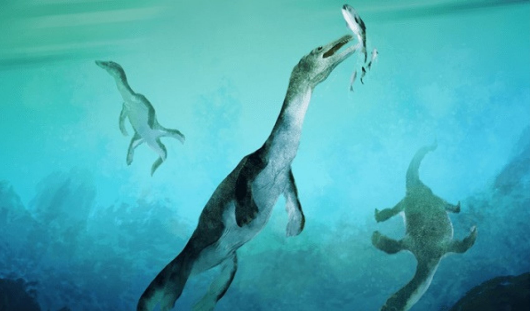 246 milyon yıl öncesine ait: Deniz sürüngeni keşfedildi