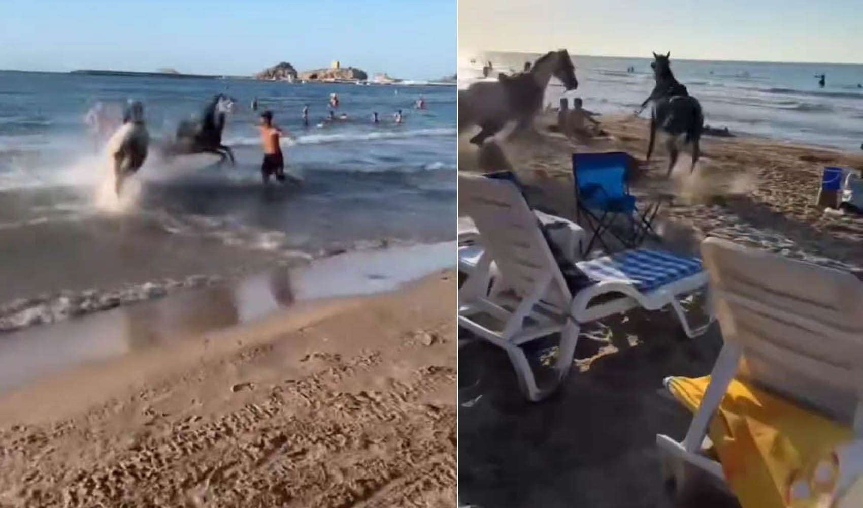 Plaja gelen iki at ortalığı birbirine kattı: İşte o anlar...