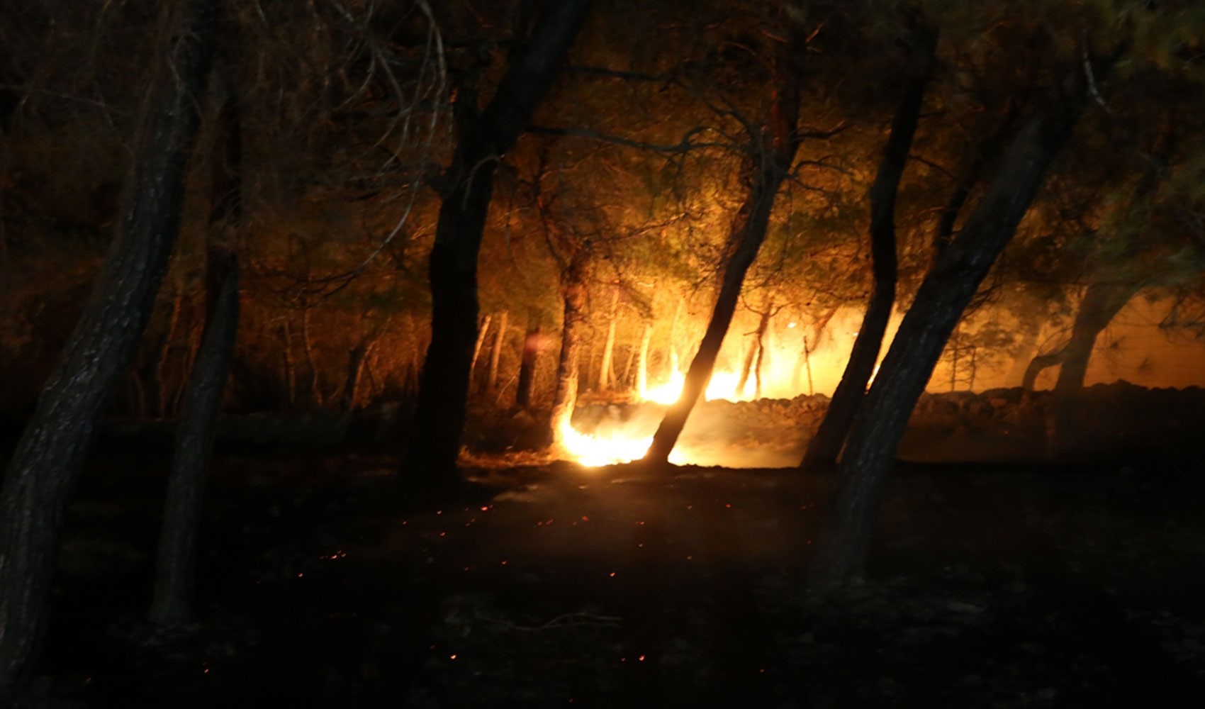 Çanakkale'de yine orman yangını: 1 köy boşaltıldı