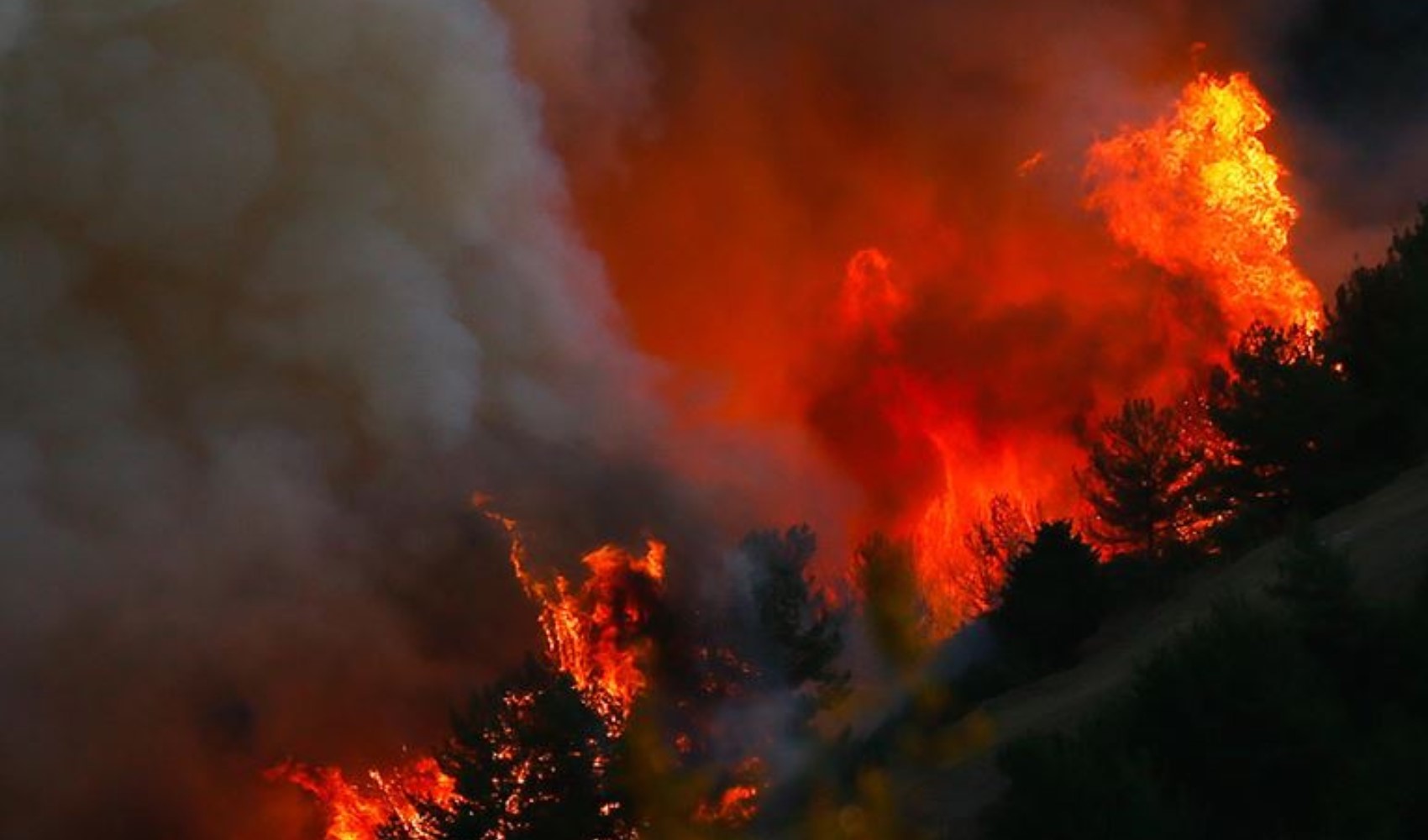 Orman yangınları geçen yıla göre yaklaşık 5 kat arttı