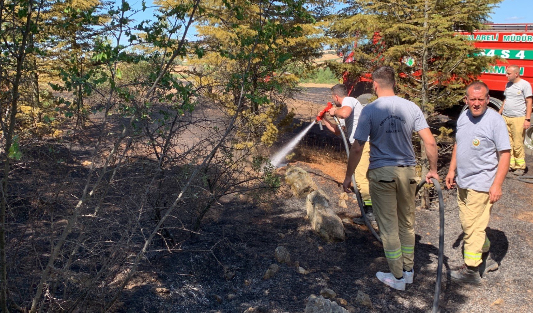 Kırklareli’nde orman yangını: 10 dekar alan ile 5 dekar buğday tarlası zarar gördü