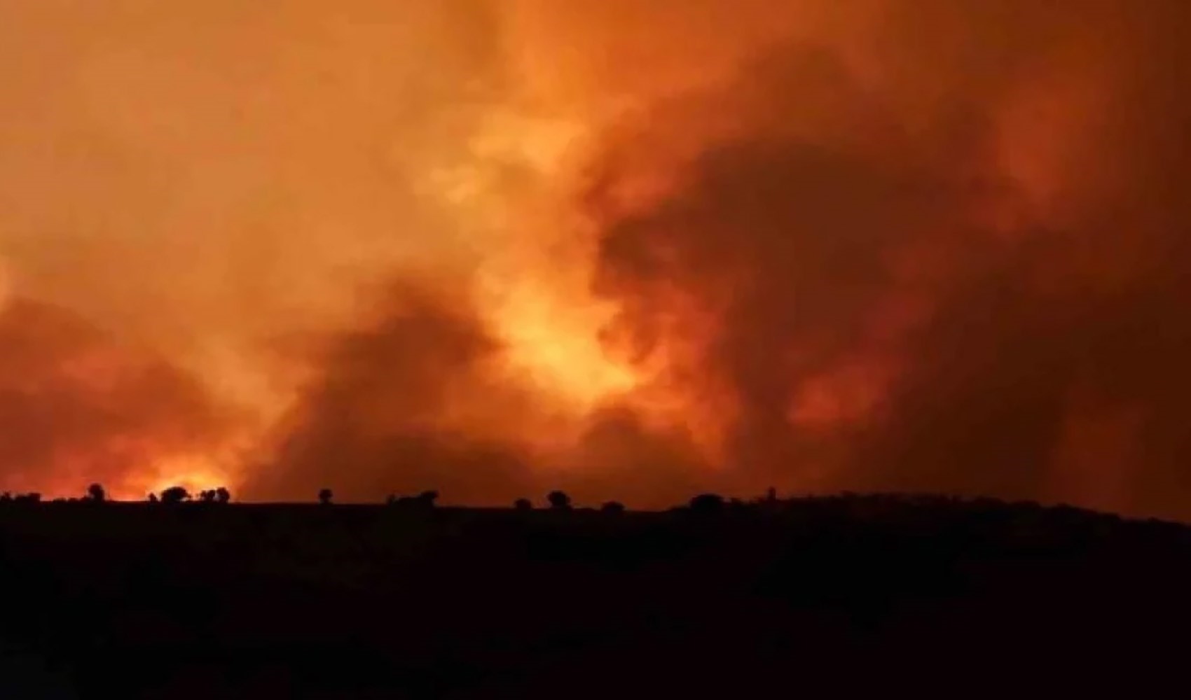 Diyarbakır'da bir orman yangını daha çıktı!