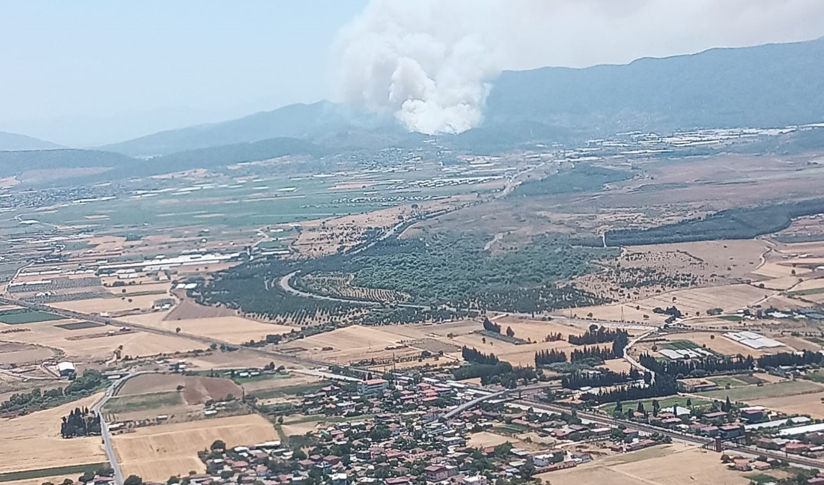 İzmir Menderes’te orman yangını: Vatandaşlar tahliye edildi
