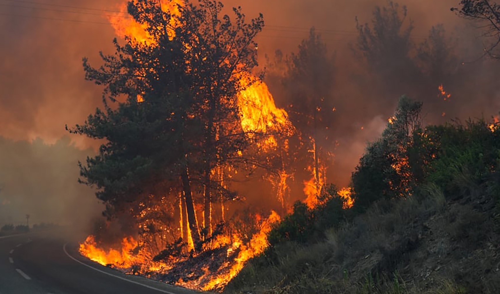 Una persona arrestata in relazione all'incendio boschivo di Smirne