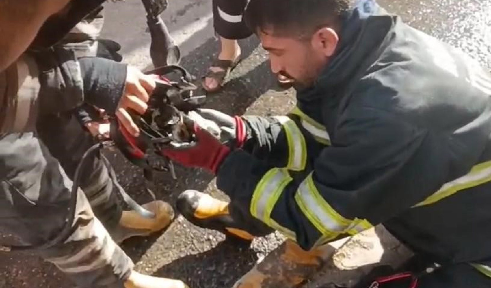 Yangından kurtarılan kediye oksijen destekli müdahale