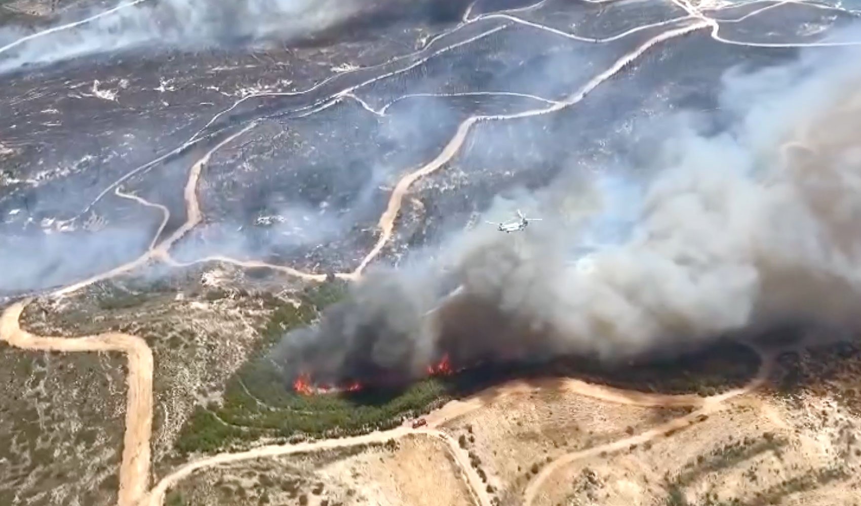 İzmir Çeşme'deki orman yangınında 3 kişi hayatını kaybetti