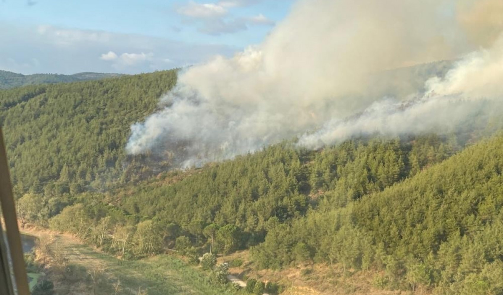 Orman yangının yaşandığı Balıkesir Ömerköy Mahallesi Muhtarı Sevim Uçar Yılmaz 12punto'ya konuştu