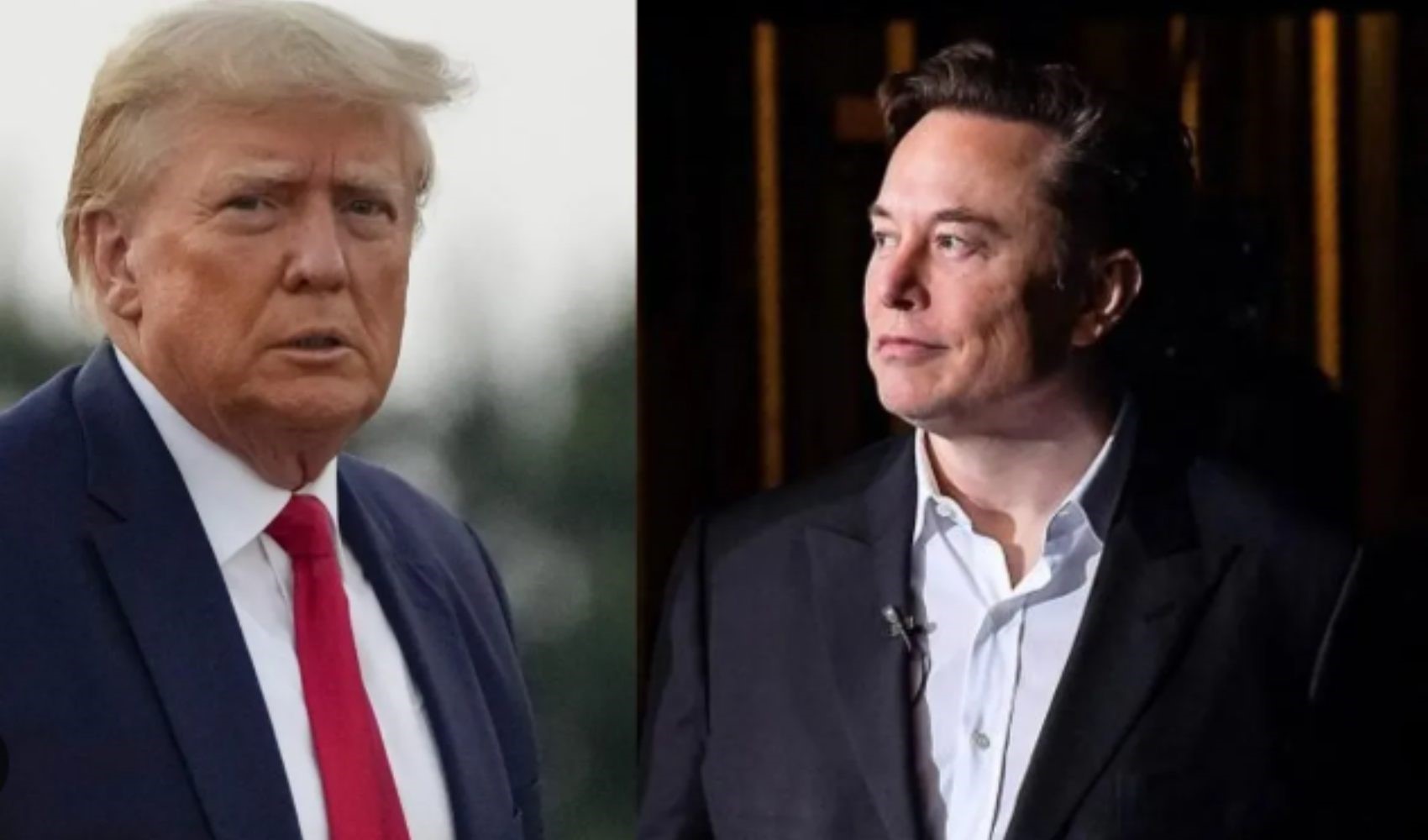 Elon Musk chiarisce l'entità del suo sostegno a Trump