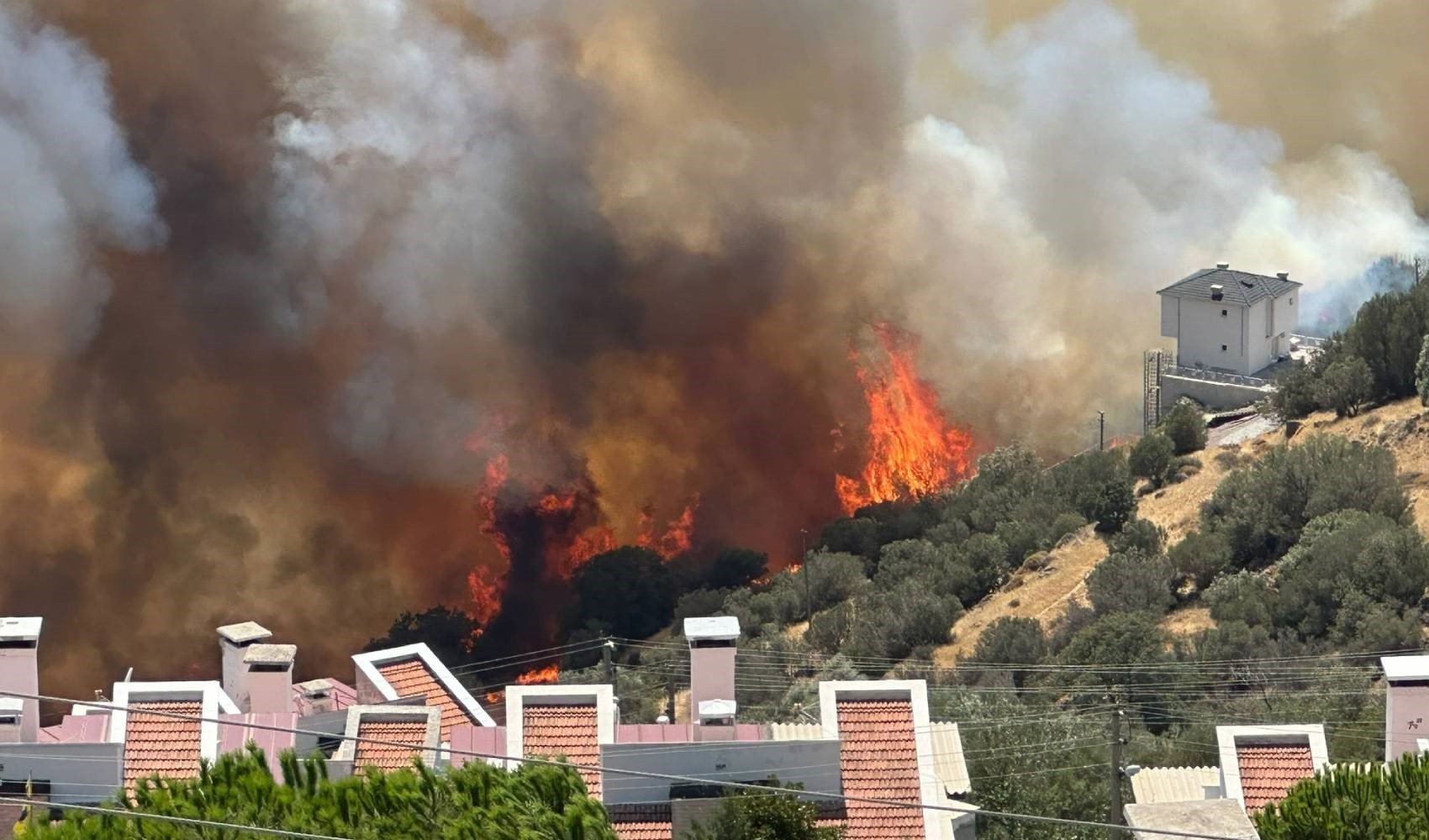 Dikili Belediye Başkanı Adil Karagöz yangını 12punto’ya anlattı