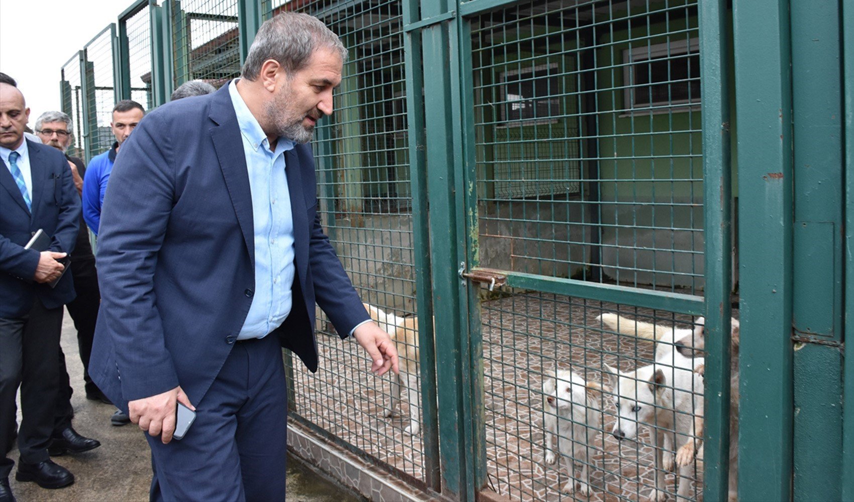 AKP'li Şen açıkladı: Sokak Hayvanları Kanunu'nda 'O da orada dursun' detayı