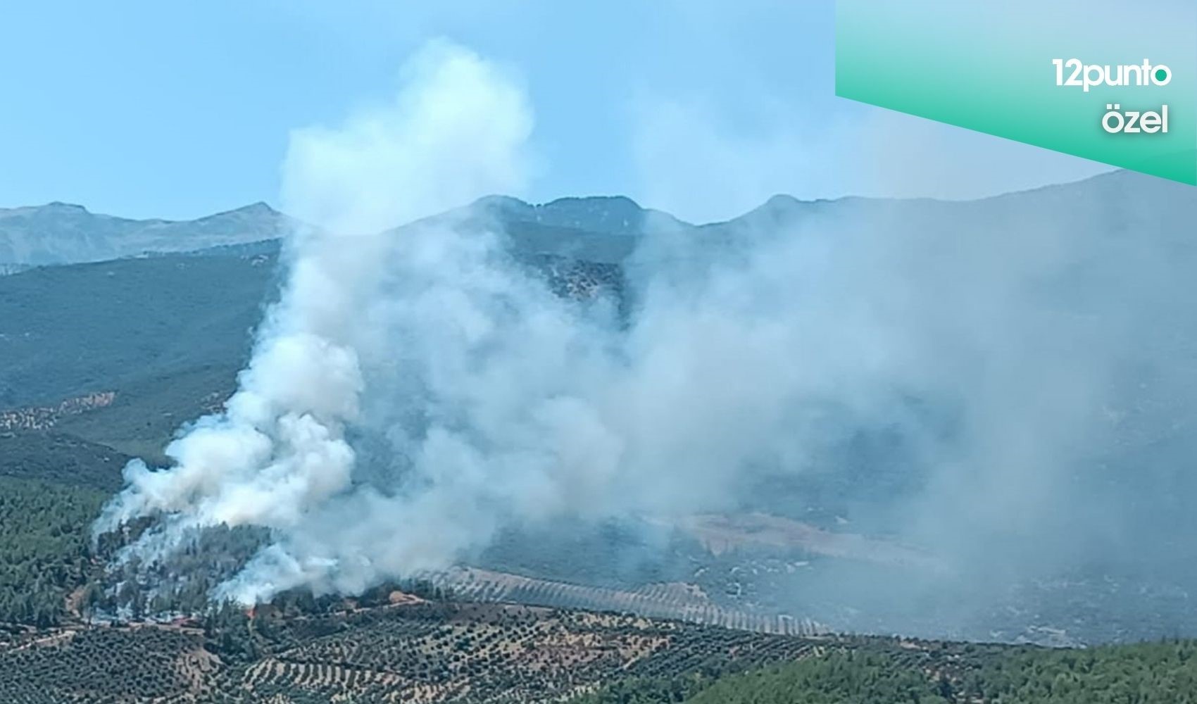 Hatay'ın Hassa ilçesinde orman yangını çıktı: Son durumu mahalle muhtarı aktardı