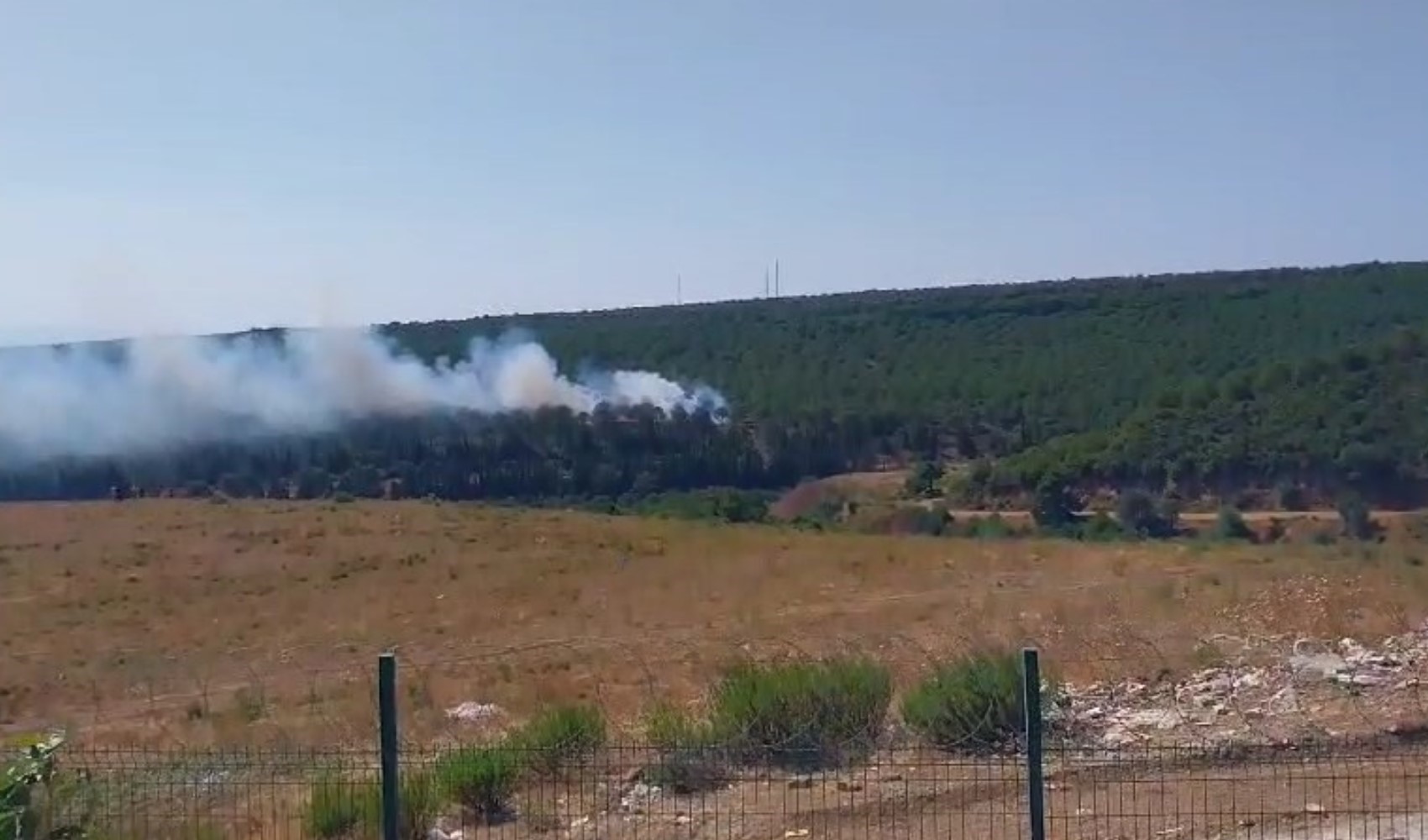 Bir orman yangını haberi de Yalova'dan: Müdahaleler sürüyor