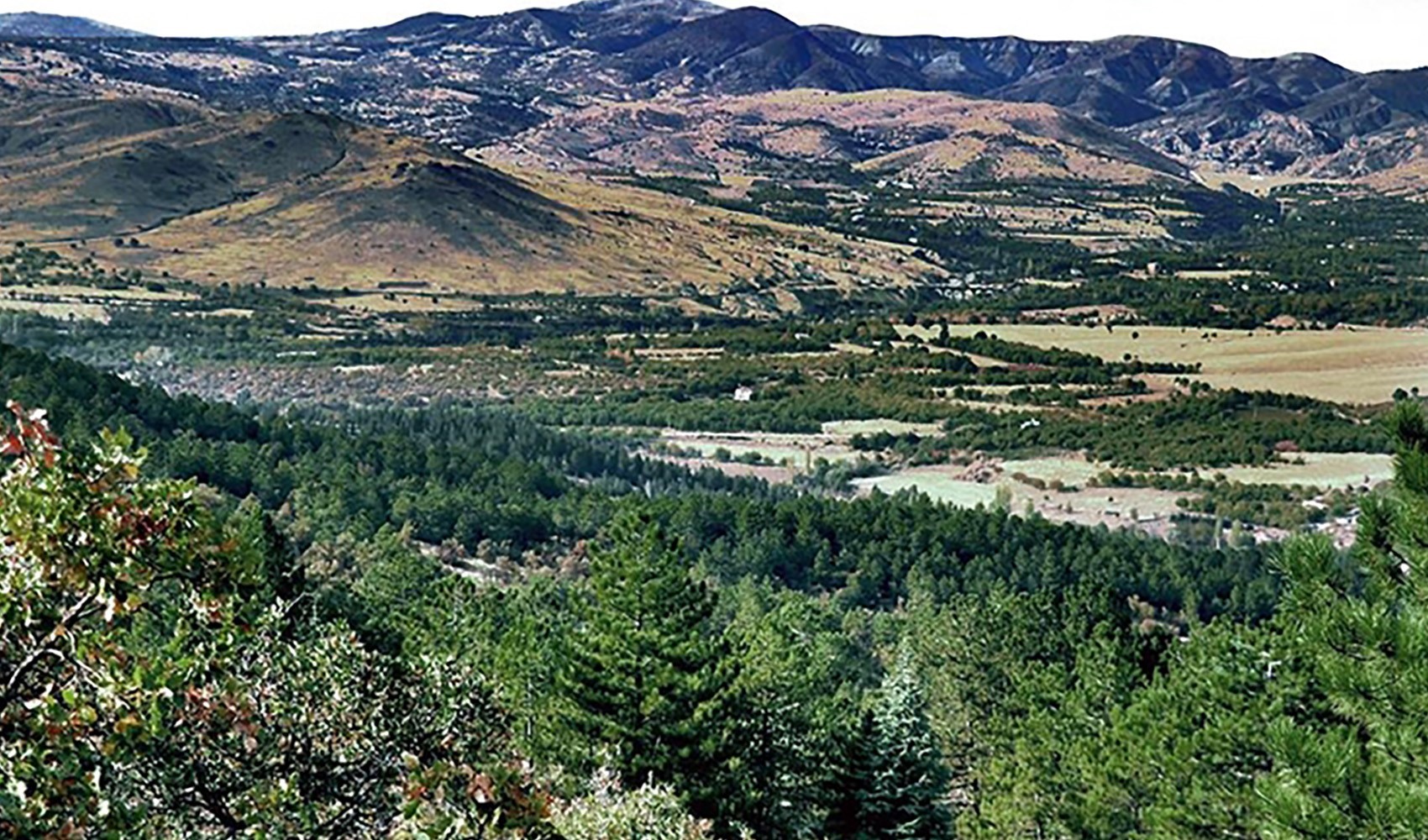 Vietato l'accesso alle aree boschive a Elazığ