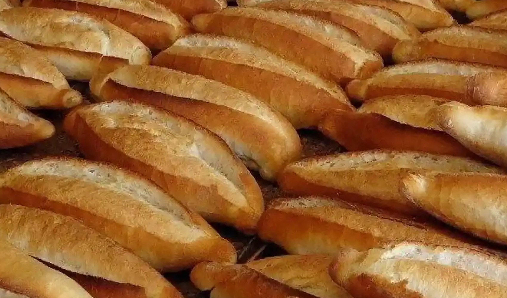 Aumento del prezzo del pane a Bayburt