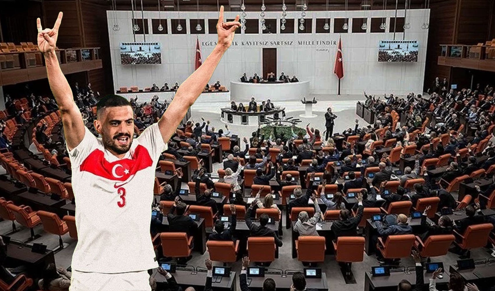 İYİ Parti'den Meclis'e 'Bozkurt' teklifi: 'Ulusal sembol olarak tanınsın'