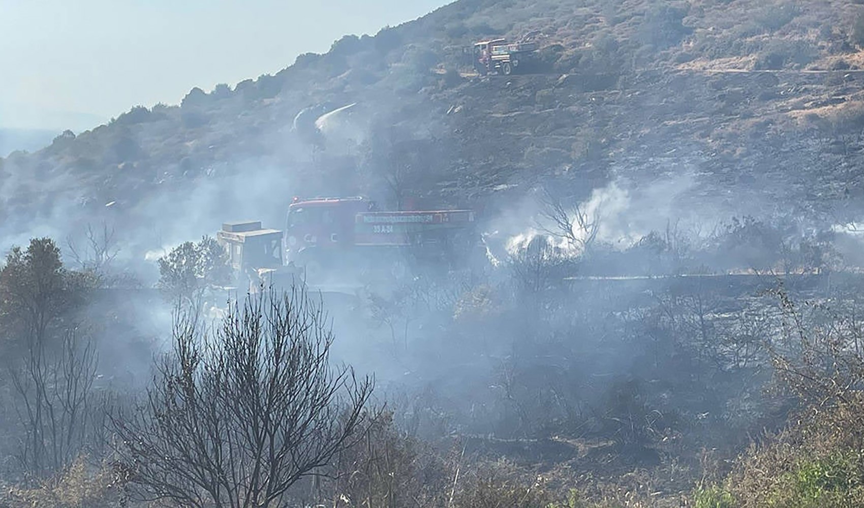 La causa dell'incendio boschivo a Foça è stata un'automobile in fiamme