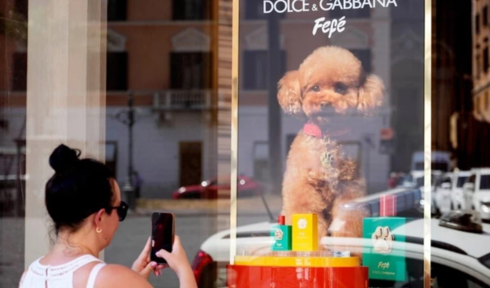 Dolce & Gabbana köpekler için özel olarak parfüm tasarladı: 108 dolar