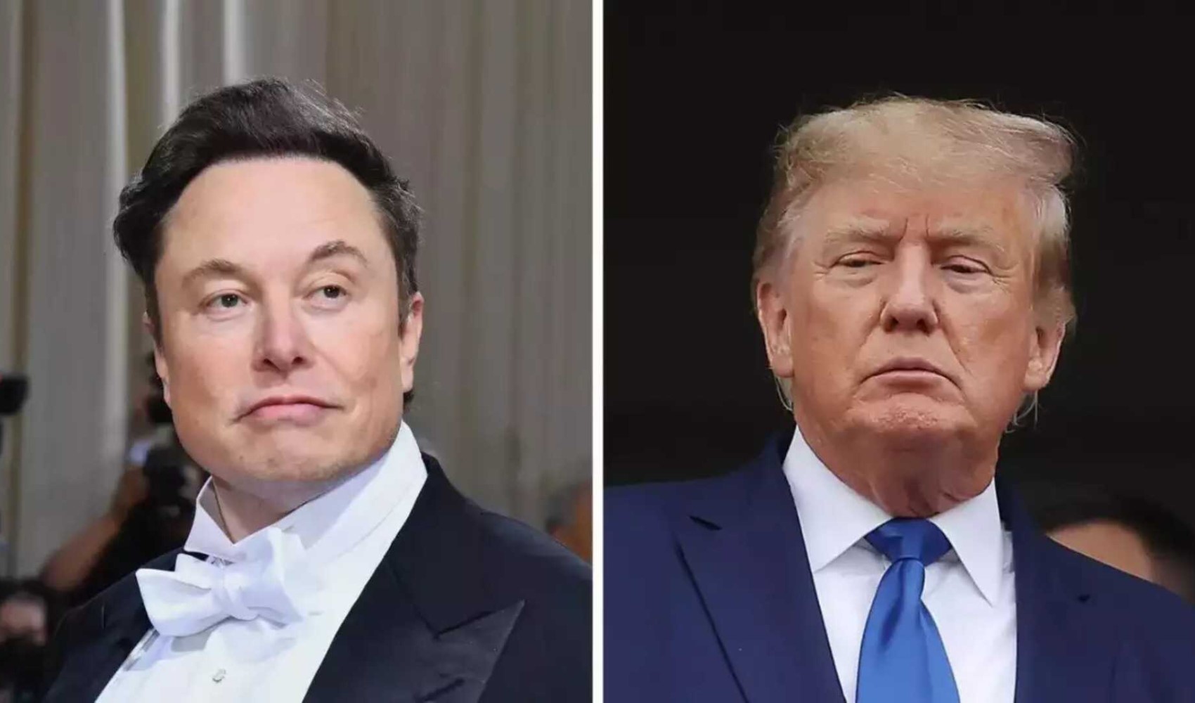 Donald Trump ed Elon Musk terranno un'intervista prima delle elezioni presidenziali USA