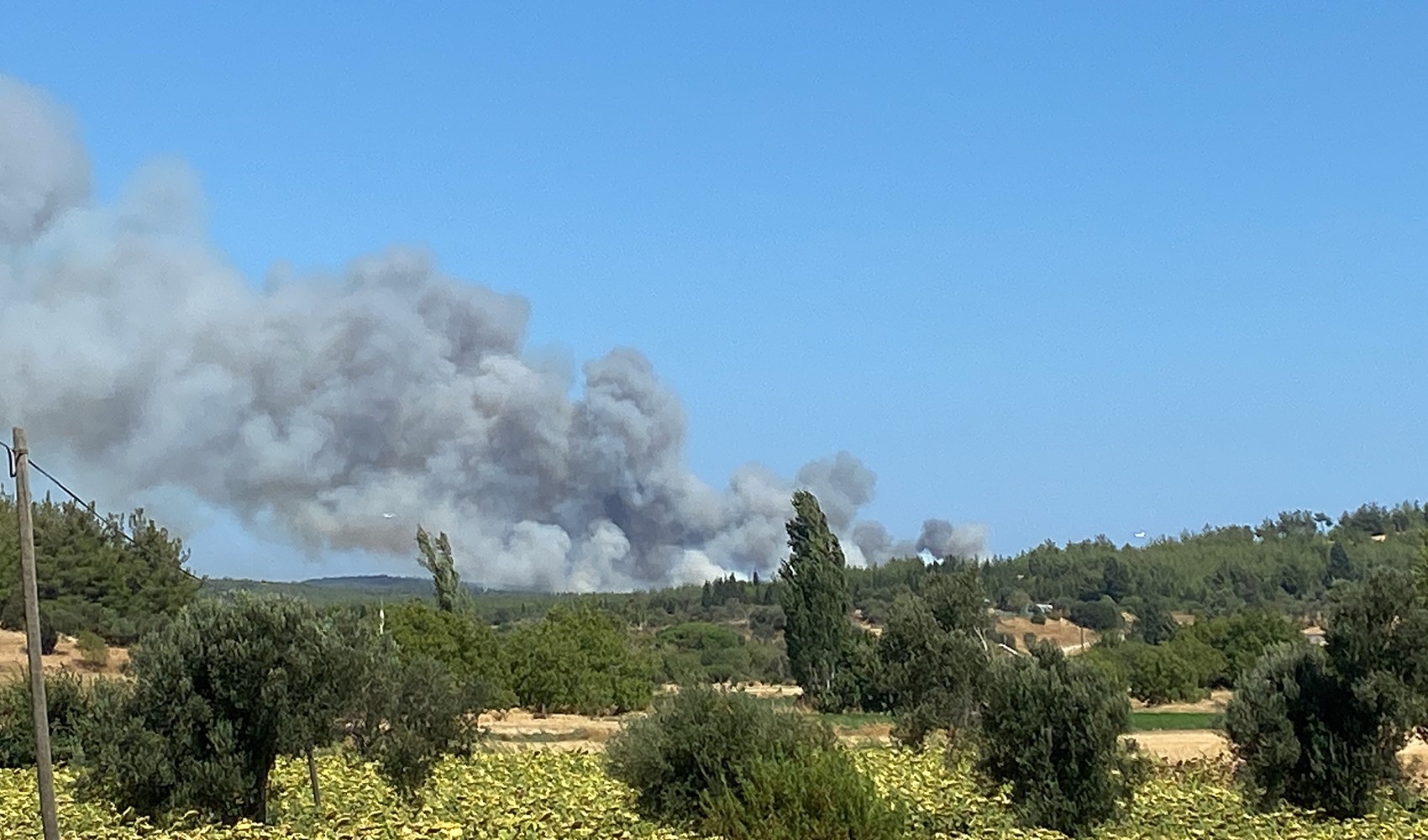 Çanakkale Eceabat’ta orman yangını: 57. Alay Şehitliği ile Conkbayırı ziyarete kapatıldı