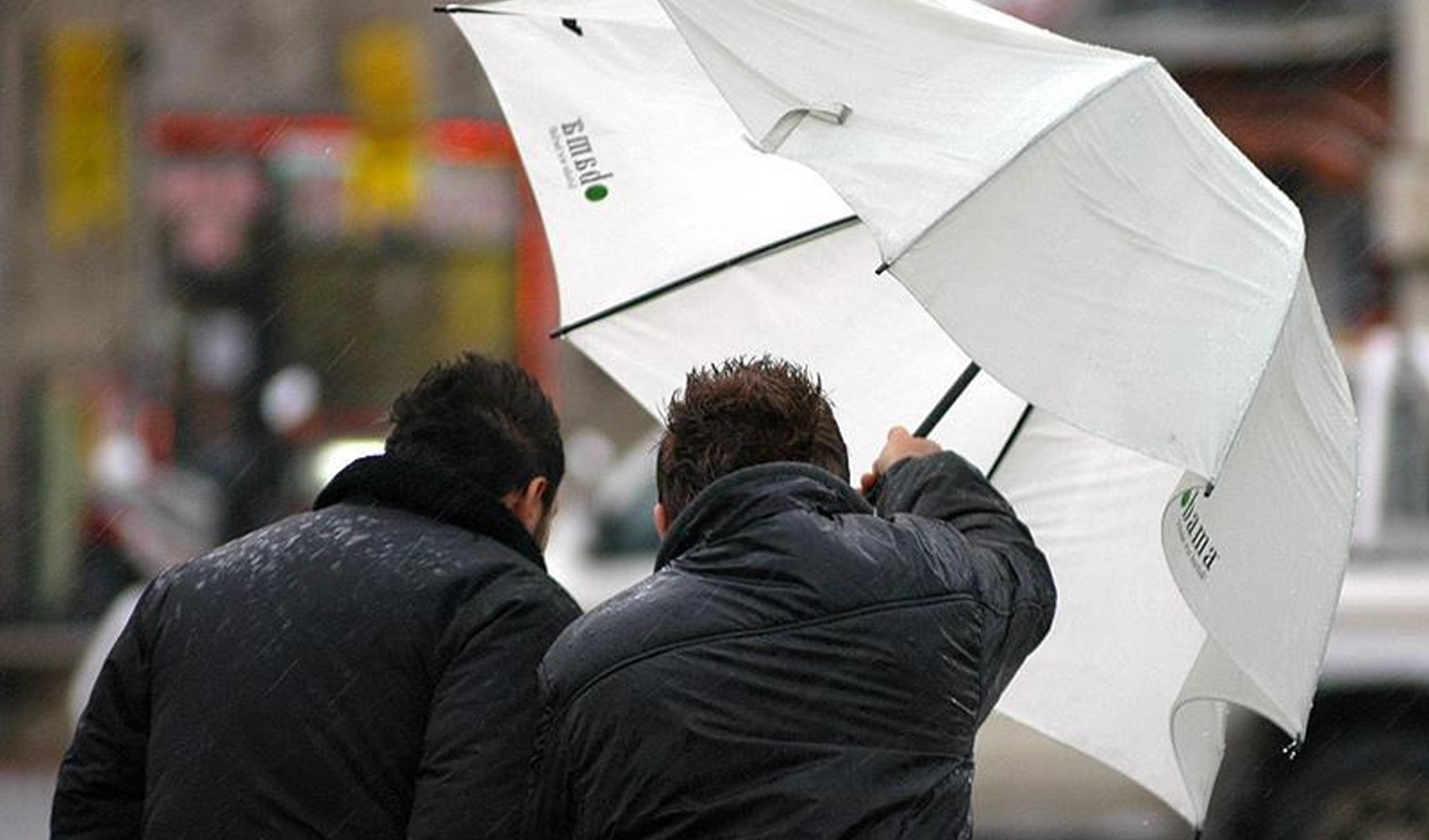 Allerta meteo: le temperature scendono, il vento sarà intenso: ecco le previsioni per venerdì 16 agosto, città per città
