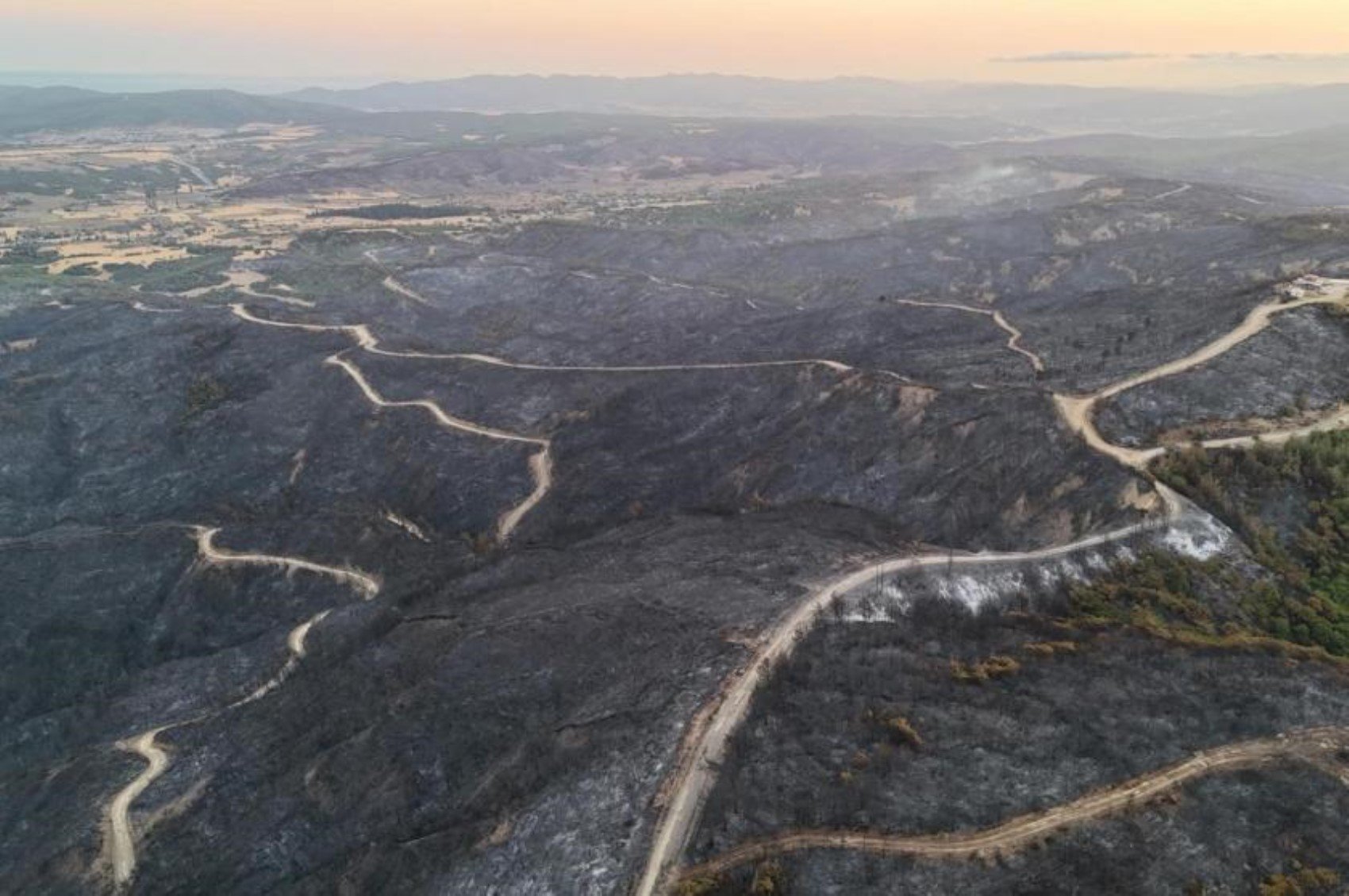 Büyük İzmir yangınında aynı kâbus: Urla ile birlikte 2024 yılı içinde elektrik direğinden kaç yangın çıktı