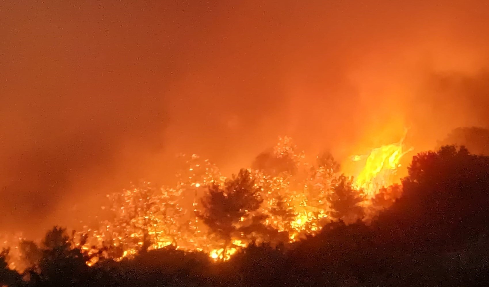 Manisa'daki orman yangını 80 saati aştı