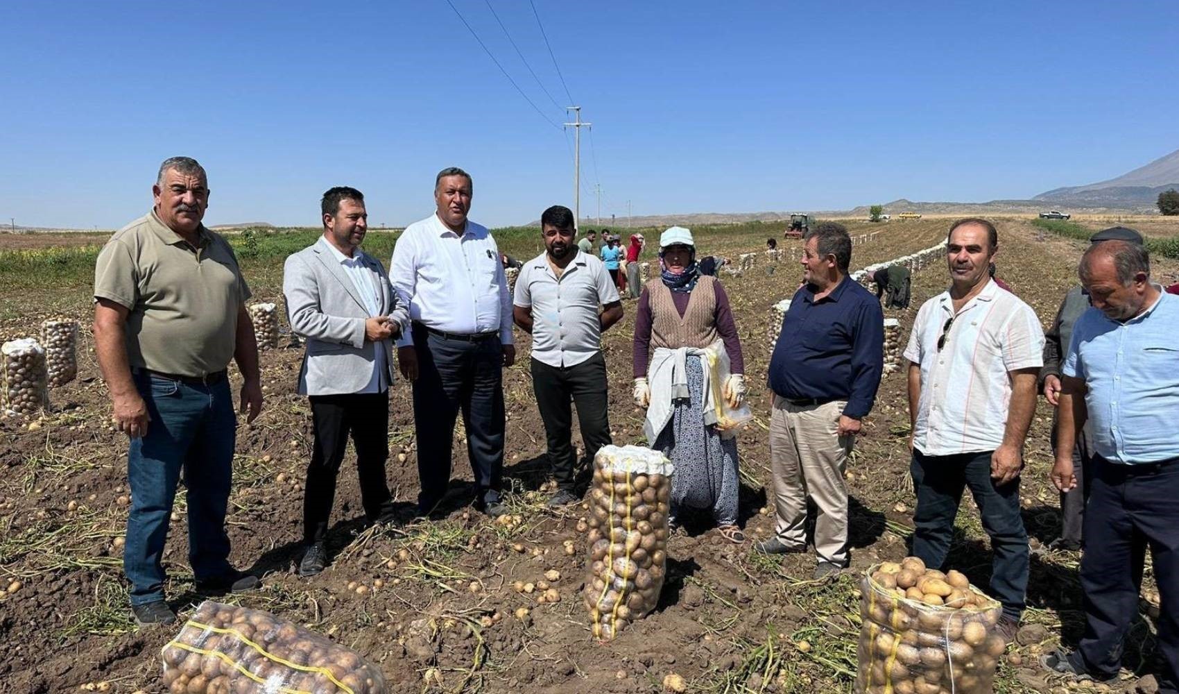 Kadın patates üreticisi isyan etti: Biz bitiğiz, gerçekten bitiğiz!